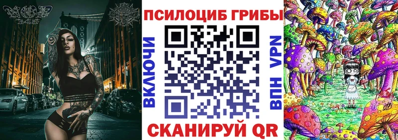 Псилоцибиновые грибы Psilocybe  Исилькуль 