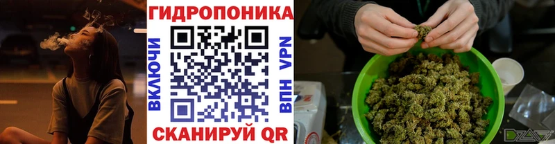 Конопля OG Kush  хочу наркоту  Исилькуль 